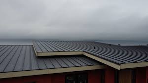 Fast & Reliable Emergency Roof Repairs in Fishhook, AK